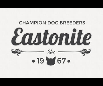Eastonite Dogs