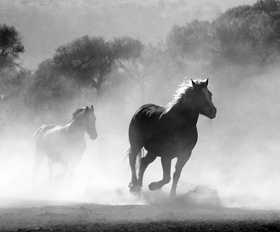 Modx Site Speed on Ionos Shared Hosting